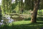 original Seerosenteich im Garten von Monet