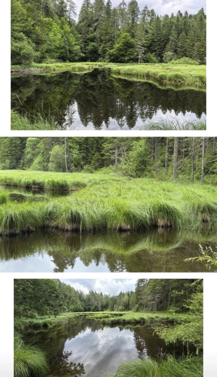 original 526577885 1331109022350191 71367069565853913 n