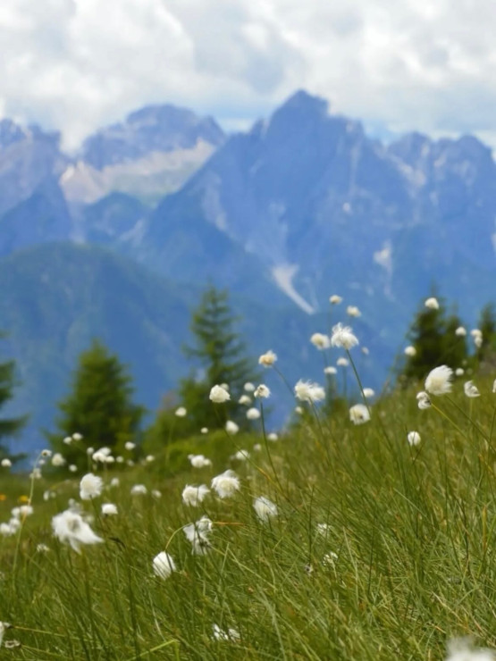 original 526858890 17951099483990812 6839295309721812575 n