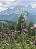 original 521189688 1324765819651178 5693984713147674646 n