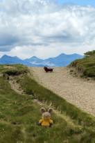 original 524599654 1329319025862524 3454035250190131789 n