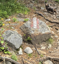 original 524489906 1330289089098851 3390756935605915360 n