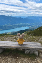 original 524779738 1329319329195827 1452391680762750136 n