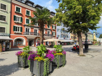 original 524733627 1328368205957606 5815540799222578346 n