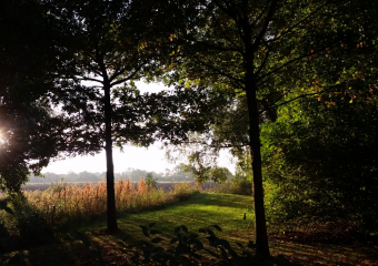 Bild Familienurlaub im Center Parc Tossens Reisebericht