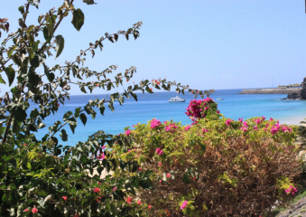 Bild Fuerteventura, die Insel des Windes Reisebericht